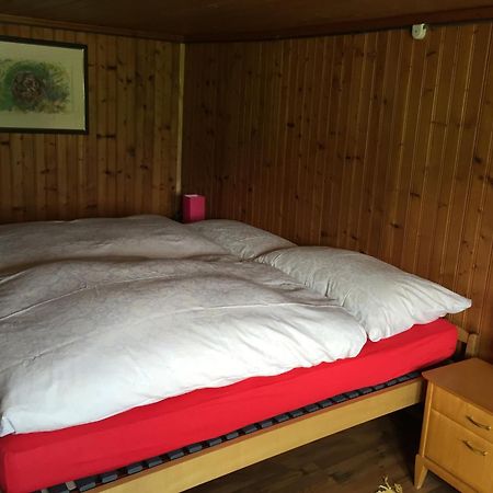 Uzwil Wohlfuehloase Fuer Mensch Und Hund Bed & Breakfast エクステリア 写真