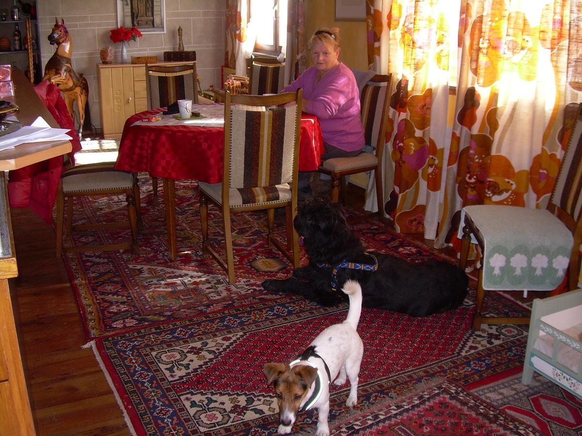 Uzwil Wohlfuehloase Fuer Mensch Und Hund Bed & Breakfast エクステリア 写真