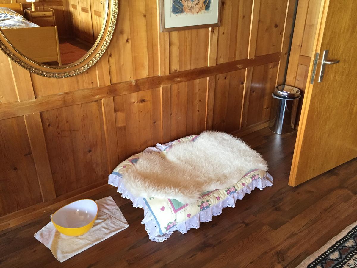 Uzwil Wohlfuehloase Fuer Mensch Und Hund Bed & Breakfast エクステリア 写真