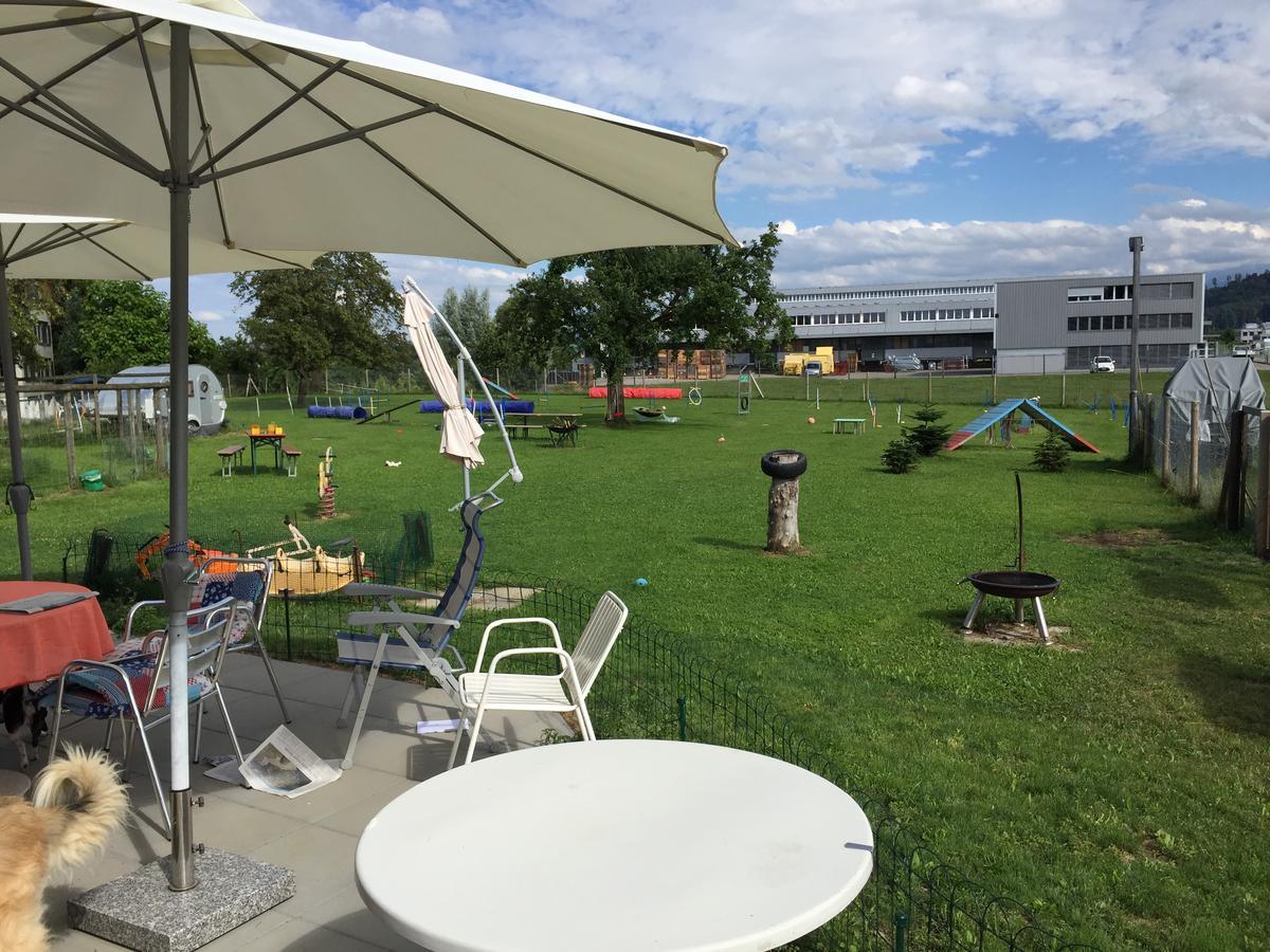 Uzwil Wohlfuehloase Fuer Mensch Und Hund Bed & Breakfast エクステリア 写真